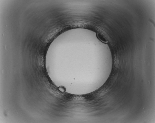 X0000102220403200808081321