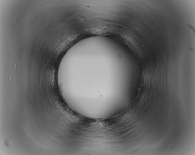 X0000102220404200808081321