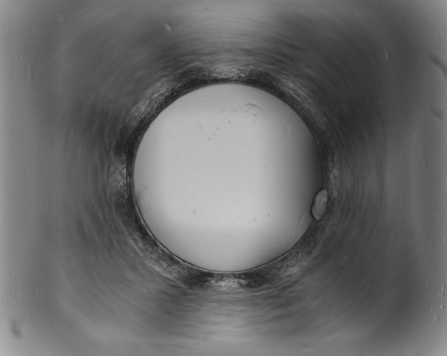 X0000102220407200808081321