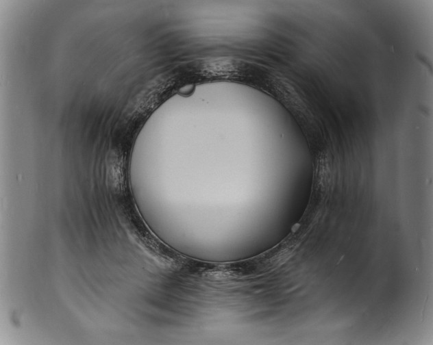 X0000102220408200808081321