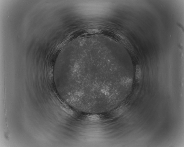 X0000102220409200808081321