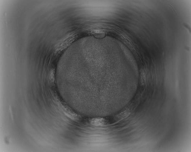 X0000102220410200808081321