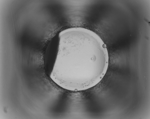 X0000102220411200808081321