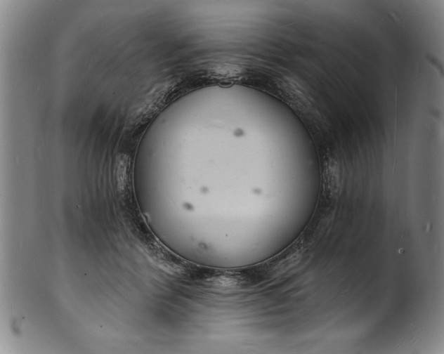 X0000102220412200808081321