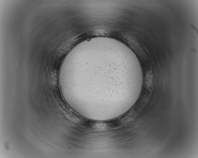 X0000102220413200808081321