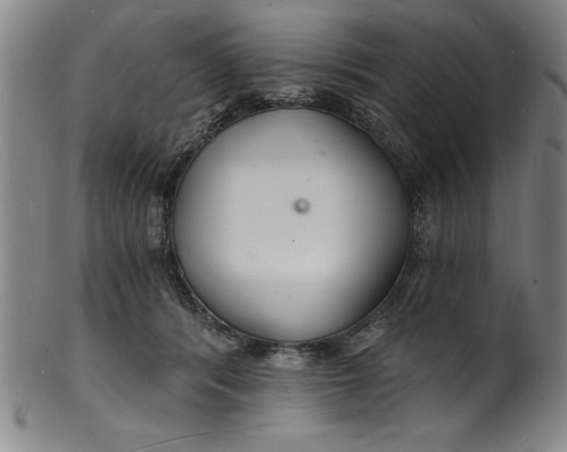 X0000102220416200808081321