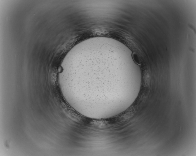 X0000102220417200808081321