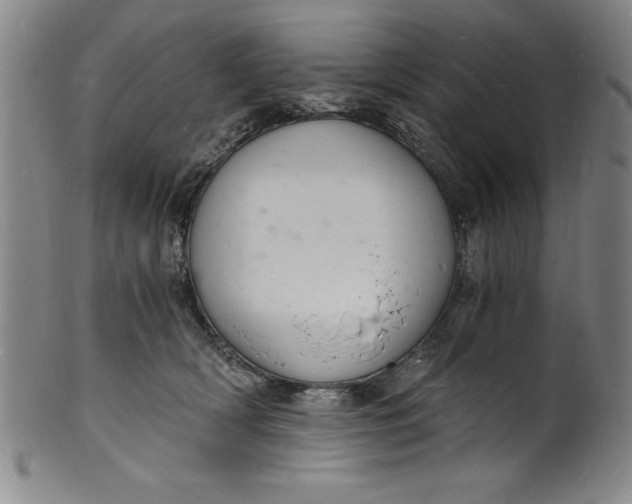 X0000102220418200808081321