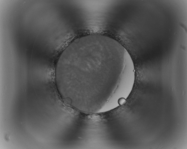 X0000102220419200808081321