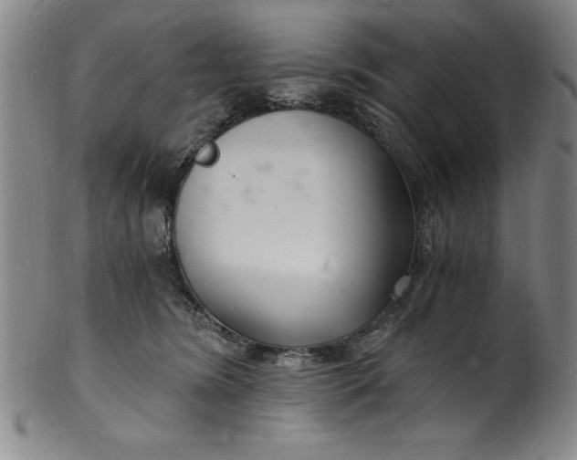 X0000102220420200808081321