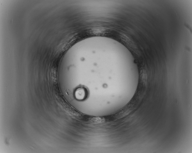 X0000102220421200808081321