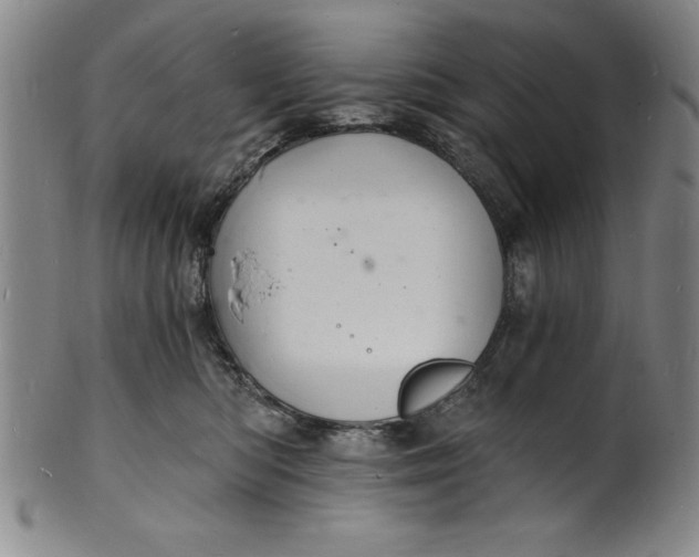 X0000102220422200808081321