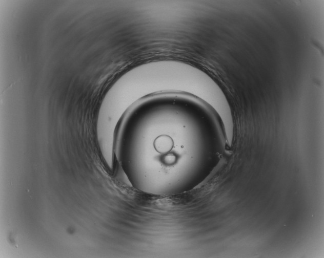 X0000102220423200808081321