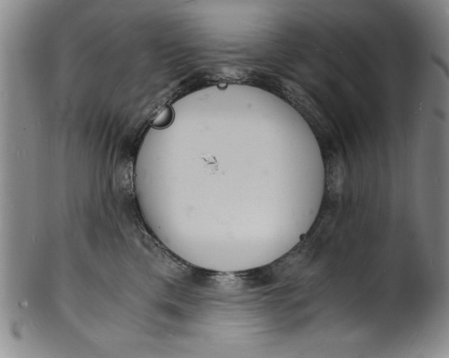 X0000102220425200808081321