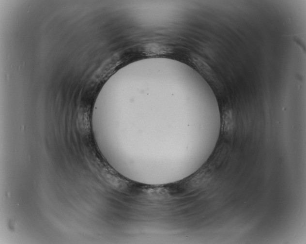 X0000102220426200808081321