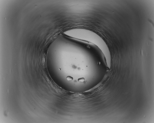 X0000102220427200808081321