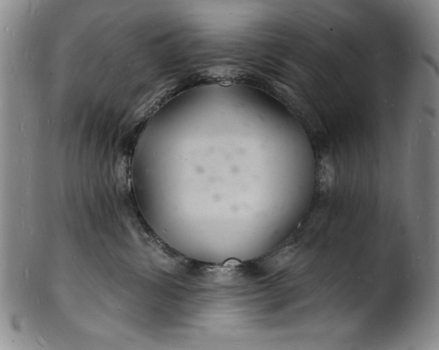 X0000102220428200808081321