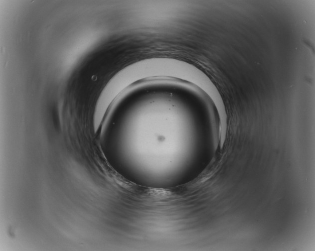 X0000102220429200808081321