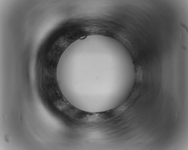 X0000102220430200808081321