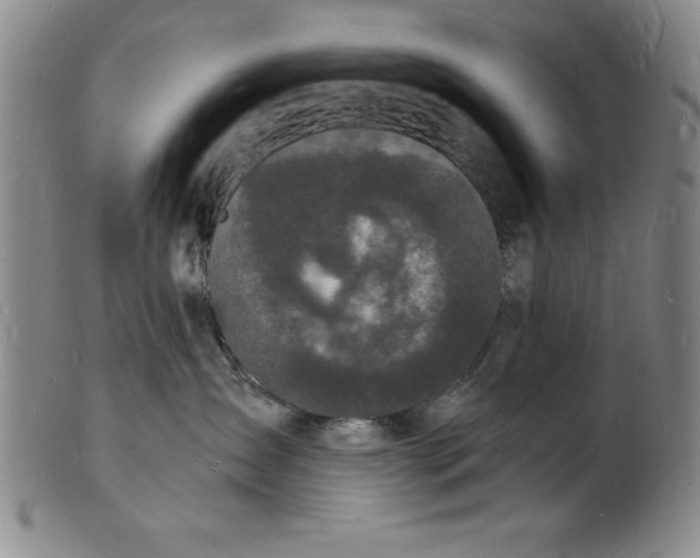 X0000102220431200808081321