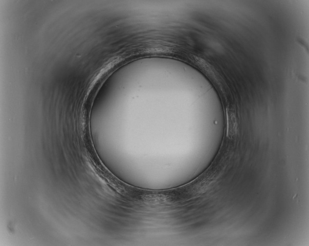 X0000102220435200808081320