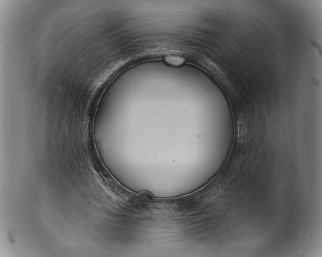 X0000102220436200808081320