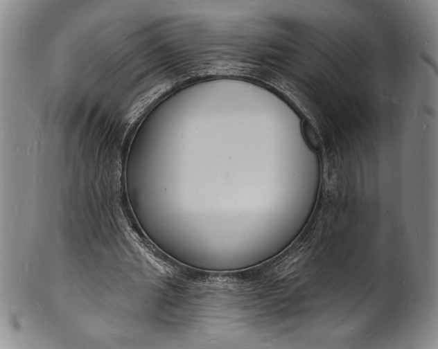 X0000102220437200808081320