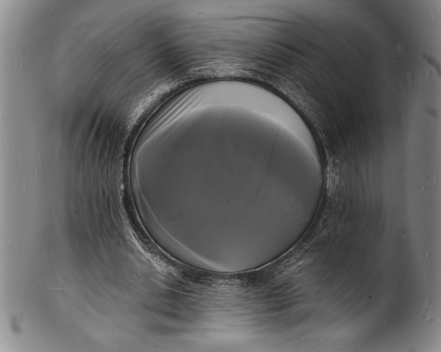 X0000102220438200808081320