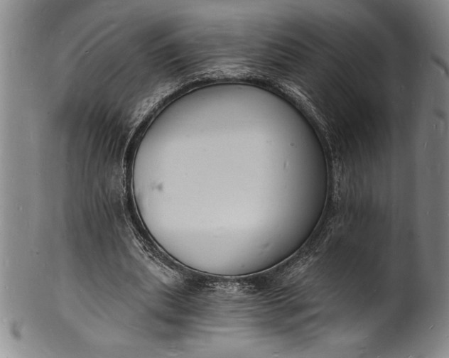 X0000102220439200808081320