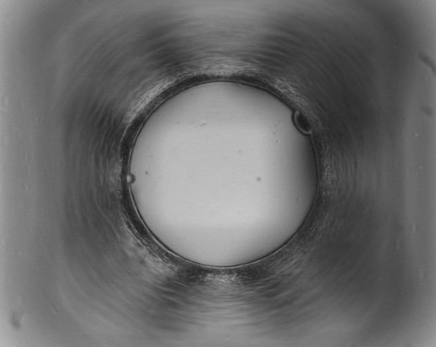 X0000102220440200808081320