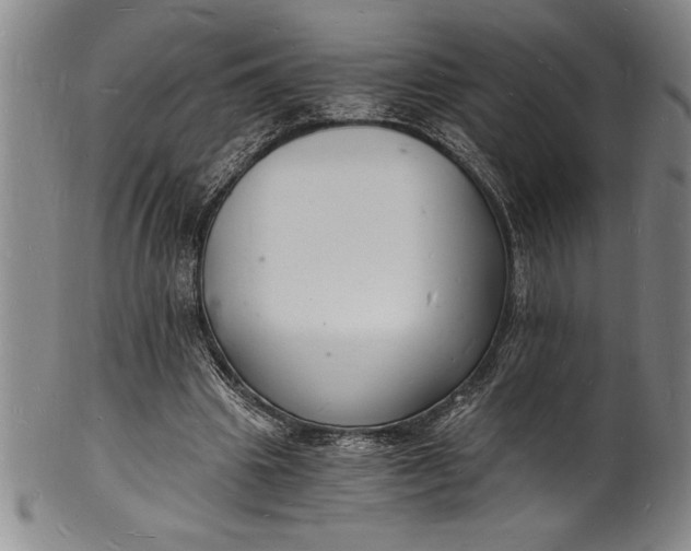 X0000102220441200808081320