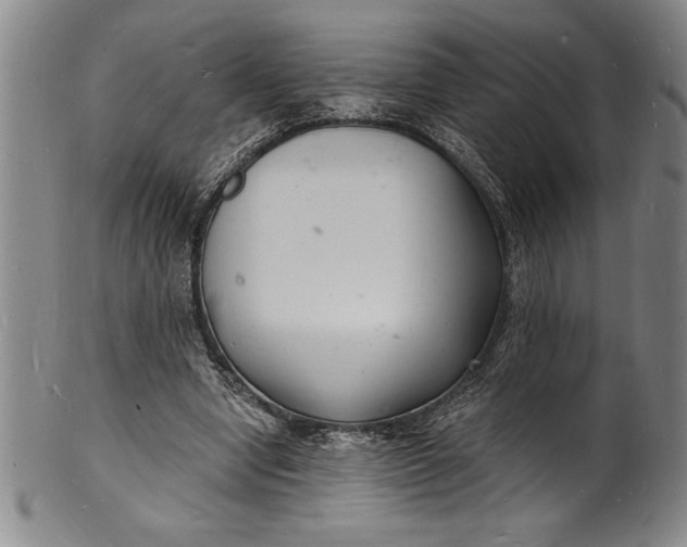 X0000102220442200808081320