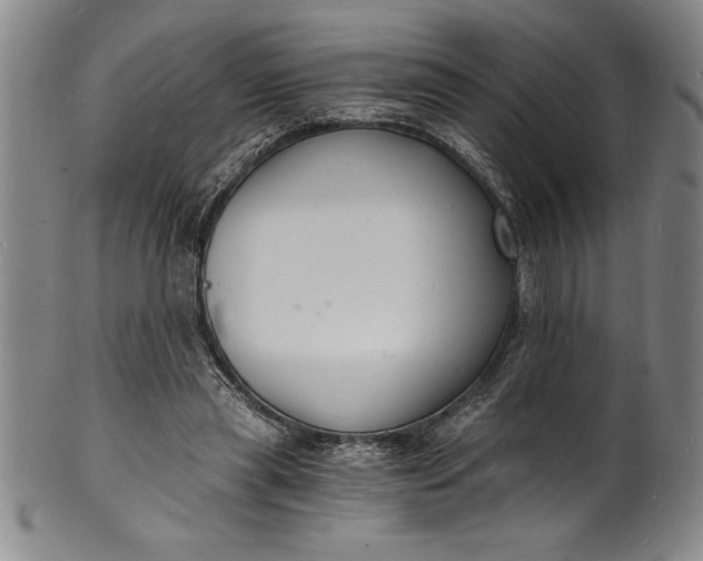 X0000102220445200808081320