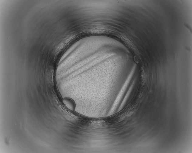 X0000102220446200808081320