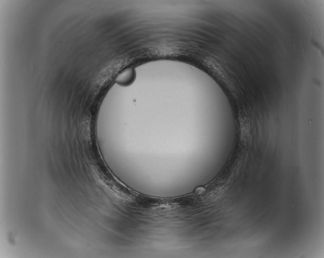 X0000102220447200808081320