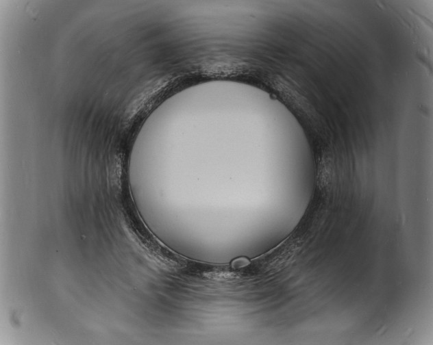 X0000102220448200808081320