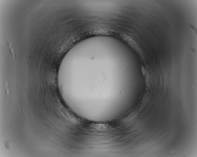 X0000102220449200808081320