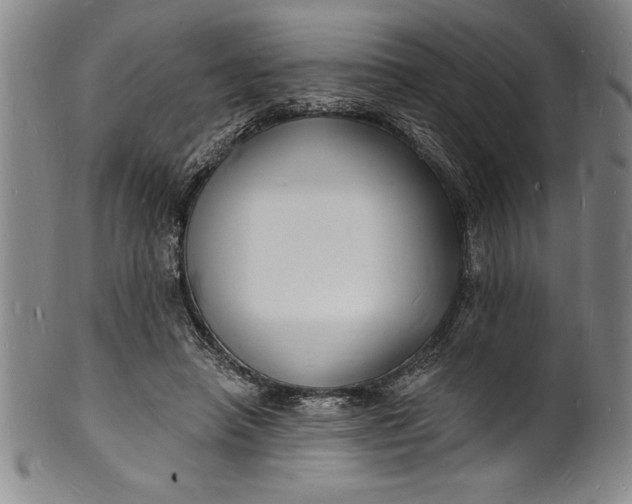 X0000102220450200808081320