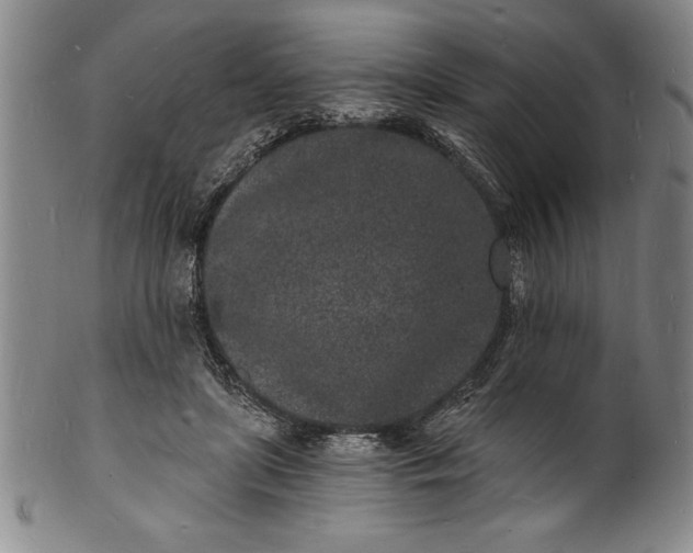 X0000102220451200808081320