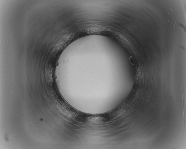 X0000102220452200808081320