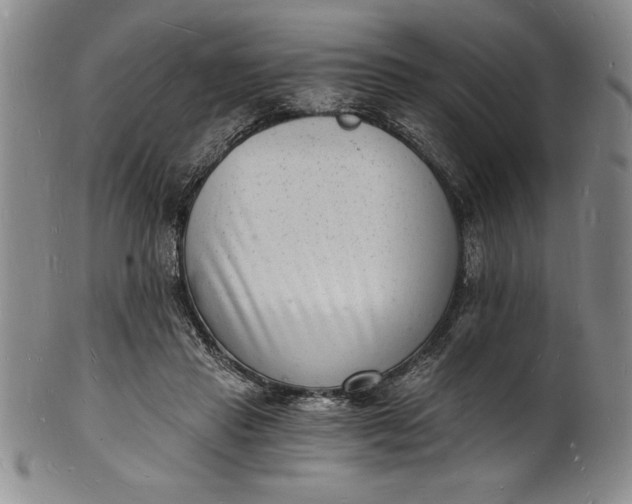 X0000102220453200808081320