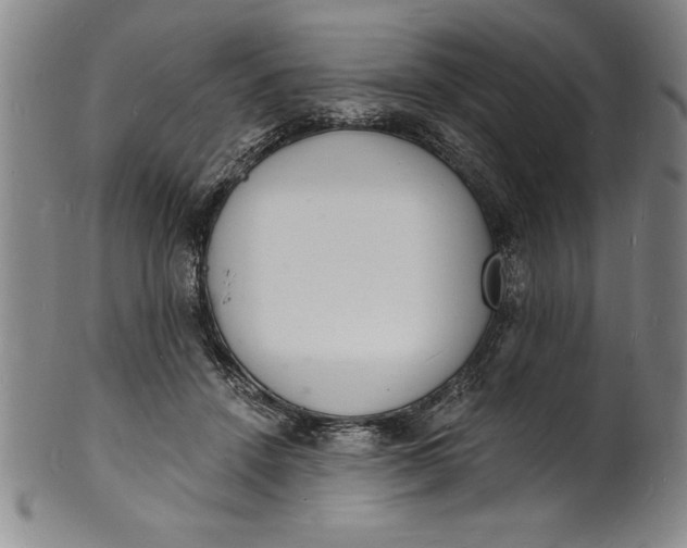 X0000102220456200808081320