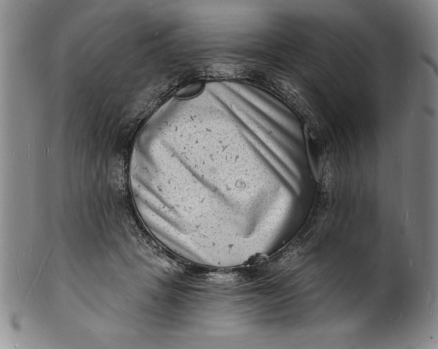 X0000102220457200808081320