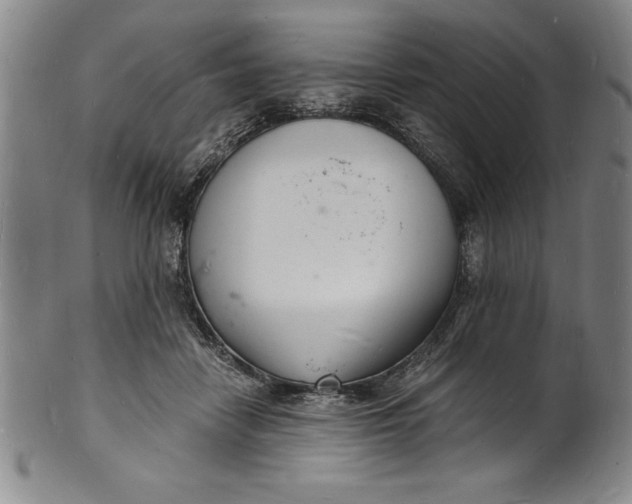 X0000102220458200808081320