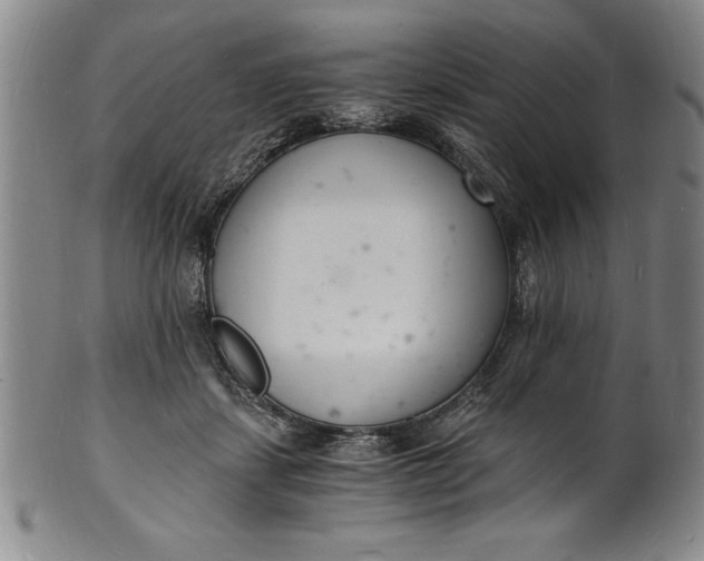 X0000102220459200808081320