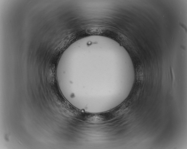 X0000102220460200808081320