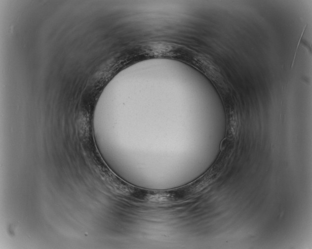 X0000102220461200808081320