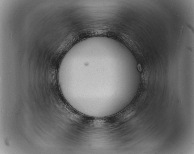 X0000102220462200808081320