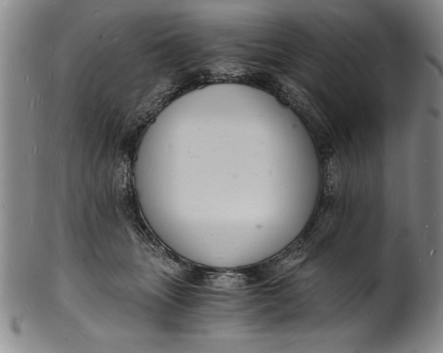 X0000102220463200808081320