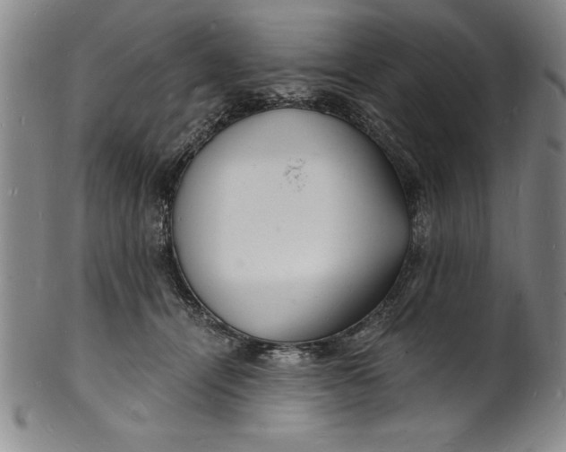 X0000102220464200808081320